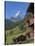 Matterhorn, Zermatt, Canton Valais, Swiss Alps, Switzerland, Europe-Angelo Cavalli-Stretched Canvas