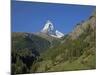 Matterhorn, Zermatt, Canton Valais, Swiss Alps, Switzerland, Europe-Angelo Cavalli-Mounted Photographic Print