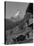 Matterhorn, Zermatt, Canton Valais, Swiss Alps, Switzerland, Europe-Angelo Cavalli-Stretched Canvas