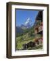 Matterhorn, Zermatt, Canton Valais, Swiss Alps, Switzerland, Europe-Angelo Cavalli-Framed Photographic Print