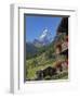 Matterhorn, Zermatt, Canton Valais, Swiss Alps, Switzerland, Europe-Angelo Cavalli-Framed Photographic Print