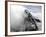 Matterhorn, Zermatt, Valais, Swiss Alps, Switzerland, Europe-Hans Peter Merten-Framed Photographic Print