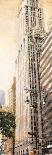 The Woolworth Building-Matthew Daniels-Art Print