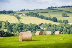 Northumberland National Park, Near Haydon, Northumberland, England, United Kingdom, Europe-Matthew-Photographic Print