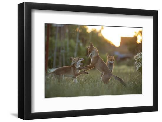 Photographic Print, , large