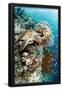 Essential Black