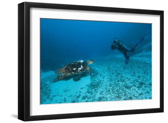 Premium Photographic Print, , large