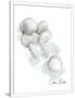 Gramercy White