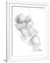 Gramercy White