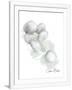 Gramercy White