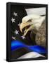 Essential Black