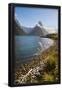 Essential Black