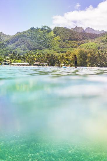 Premium Photographic Print, , large