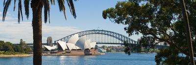 Sydney Opera House, UNESCO World Heritage Site, Sydney, Australia-Matthew Williams-Ellis-Photographic Print
