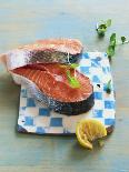 Two Salmon Cutlets-Matthias Hoffmann-Laminated Photographic Print