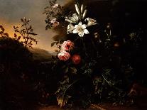 Still Life, C.1670-Matthias Withoos-Giclee Print