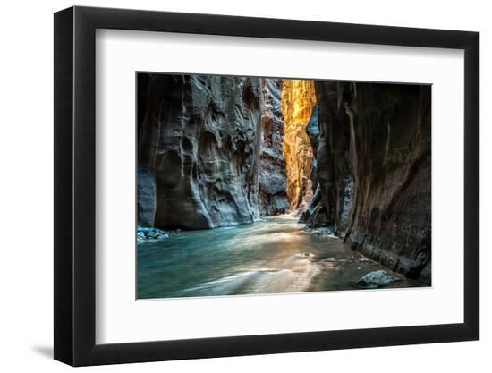 Premium Photographic Print, , large