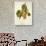 Maturana Grape-J. Troncy-Giclee Print displayed on a wall
