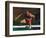 Mature Athlete Competes in Hurdles Race, Atlanta, Georgia, USA-Paul Sutton-Framed Photographic Print