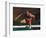 Mature Athlete Competes in Hurdles Race, Atlanta, Georgia, USA-Paul Sutton-Framed Photographic Print