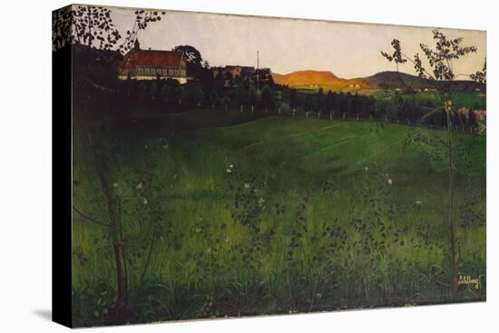 Mature Field, 1891-Harald Oscar Sohlberg-Stretched Canvas