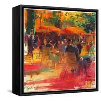 Maturing Sun, Paris-Peter Graham-Framed Stretched Canvas