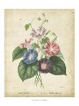 Victorian Bouquet II-Maubert-Art Print