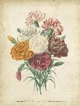 Victorian Bouquet II-Maubert-Stretched Canvas