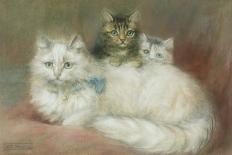 A Persian Cat and Her Kittens-Maud D. Heaps-Giclee Print