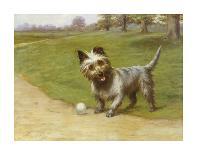 Cairn Terrier-Maud Earl-Framed Premium Giclee Print