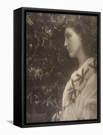 Maud-Julia Margaret Cameron-Framed Stretched Canvas