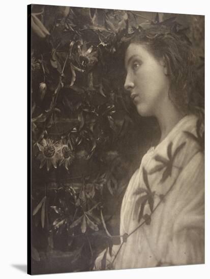 Maud-Julia Margaret Cameron-Stretched Canvas