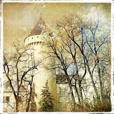 Fairy Winter Castle - Retro Styled Picture