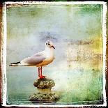 Sea Gull-Artistic Retro Styled Picture-Maugli-l-Art Print