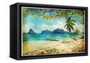 Canvas Black