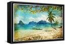 Canvas Black