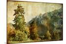 Wood Mount