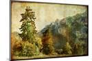 Wood Mount