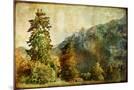 Wood Mount