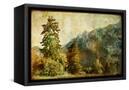 Canvas Black