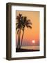 Maui, Hawaii, USA. Palm trees at sunset.-Stuart Westmorland-Framed Photographic Print