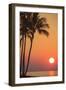 Maui, Hawaii, USA. Palm trees in the sunset.-Stuart Westmorland-Framed Photographic Print