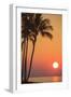 Maui, Hawaii, USA. Palm trees in the sunset.-Stuart Westmorland-Framed Photographic Print