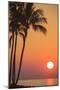 Maui, Hawaii, USA. Palm trees in the sunset.-Stuart Westmorland-Mounted Photographic Print