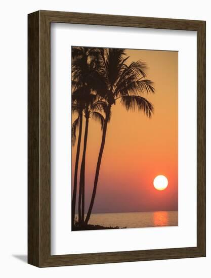 Maui, Hawaii, USA. Palm trees in the sunset.-Stuart Westmorland-Framed Photographic Print