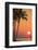 Maui, Hawaii, USA. Palm trees in the sunset.-Stuart Westmorland-Framed Photographic Print