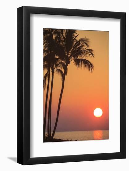 Maui, Hawaii, USA. Palm trees in the sunset.-Stuart Westmorland-Framed Photographic Print