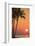 Maui, Hawaii, USA. Palm trees in the sunset.-Stuart Westmorland-Framed Photographic Print