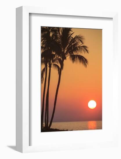 Maui, Hawaii, USA. Palm trees in the sunset.-Stuart Westmorland-Framed Photographic Print