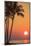 Maui, Hawaii, USA. Palm trees in the sunset.-Stuart Westmorland-Mounted Photographic Print